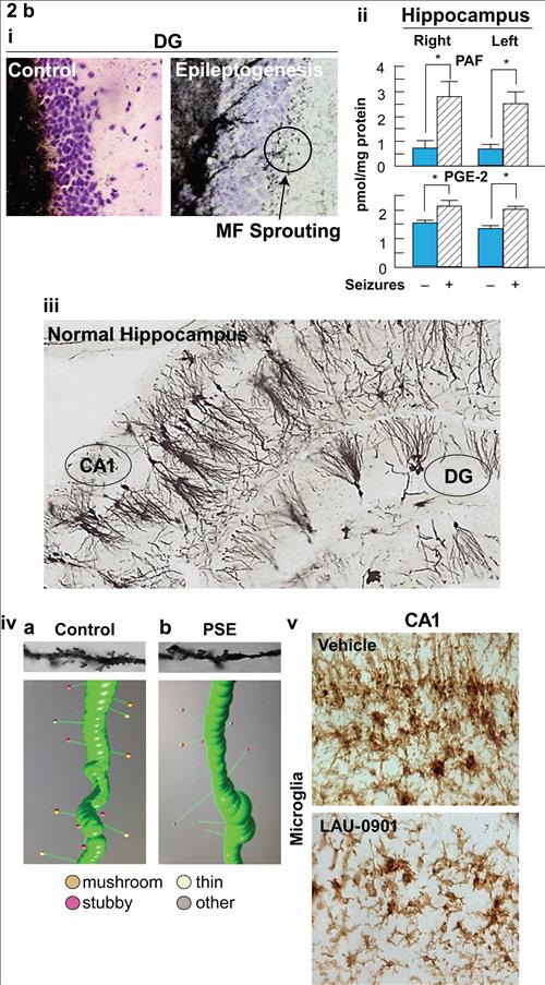 figure 2b